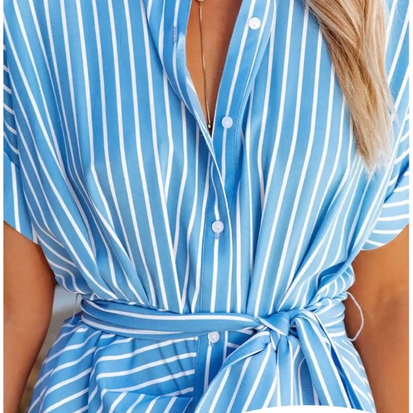 *NWT* Blue/White Striped Button-Down Dress - Picture 4 of 4